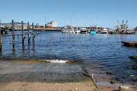 17_AU513820