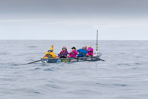 175_AU5I4422