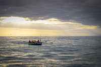 5_AU514658