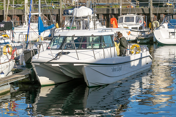 31_AU513902