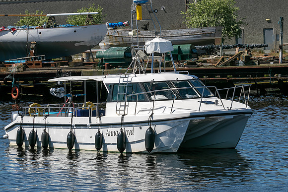 98_AU513838