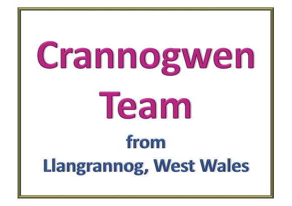 42_Crannogwen Team